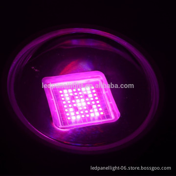 Best-seller, hydroponic grow tent, small indoor grow lights, best grow lights for vegetables growing led light